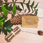 Луксозна вила амая -